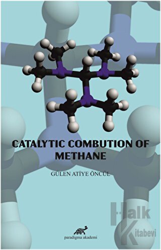 Catalytic Combution Of Methane