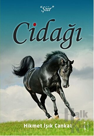 Cidağı