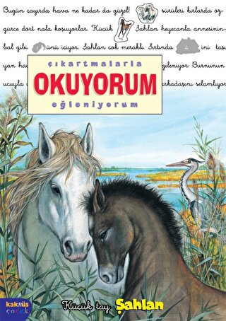 Çıkartmalarla Okuyorum Eğleniyorum -Küçük Tay Şahlan