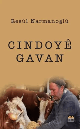 Cindoyê Gavan - Halkkitabevi