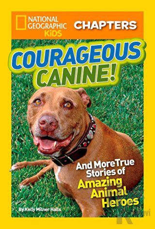 Courageous Canine!