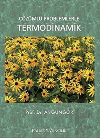 Çözümlü Problemlerle Termodinamik - Halkkitabevi