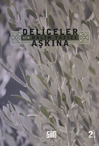 Deliceler Aşkına