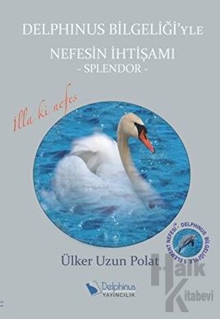 Delphinus Bilgeliği'yle Nefesin İhtişamı