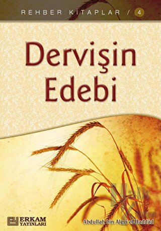 Dervişin Edebi