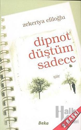 Dipnot Düştüm Sadece