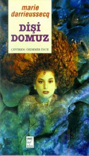 Dişi Domuz