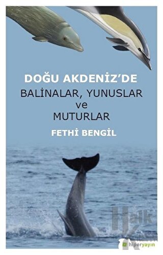 Doğu Akdeniz'de Balinalar, Yunuslar ve Muturlar