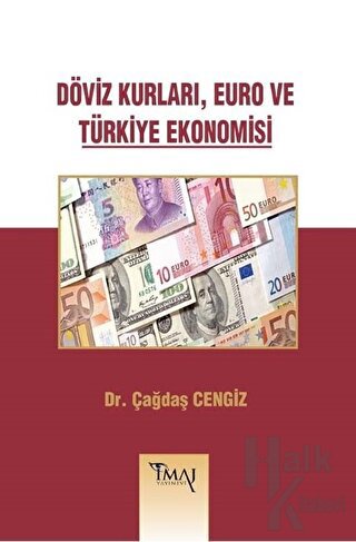 Döviz Kurları, Euro ve Türkiye Ekonomisi