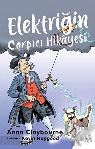 Elektriğin Çarpıcı Hikayesi