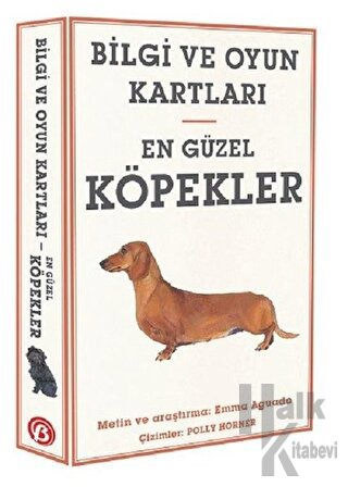 En Güzel Köpekler - Bilgi ve Oyun Kartları - Halkkitabevi