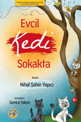 Evcil Kedi Sokakta - Halkkitabevi