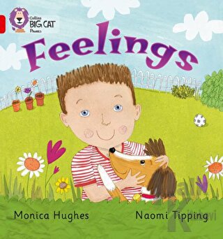 Feelings (Big Cat Phonics-2B Red)