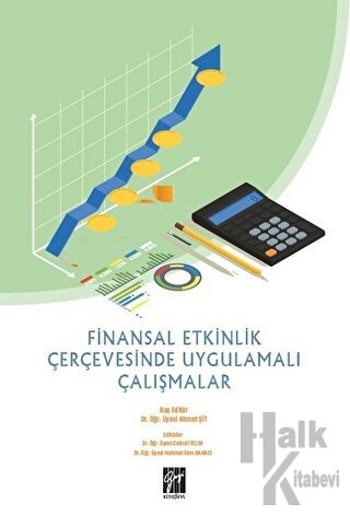 Finansal Etkinlik Çerçevesinde Uygulamalı Çalışmalar