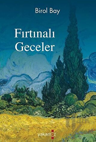 Fırtınalı Geceler