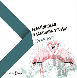 Flamingolar Yağmurda Sevişir