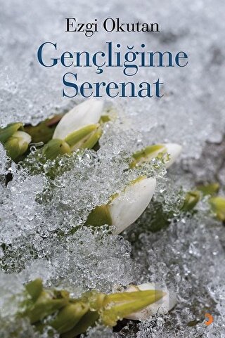 Gençliğime Serenat