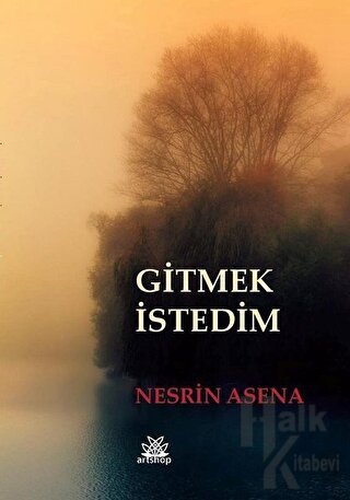 Gitmek İstedim