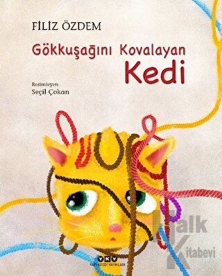 Gökkuşağını Kovalayan Kedi