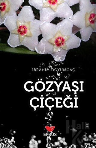 Gözyaşı Çiçeği