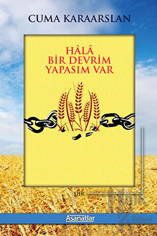 Hala Bir Devrim Yapasım Var