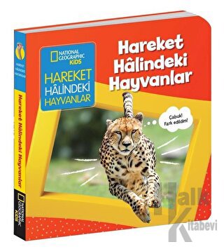 Hareket Halindeki Hayvanlar - İlk Kitaplarım Serisi (Ciltli)