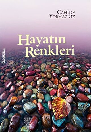 Hayatın Renkleri