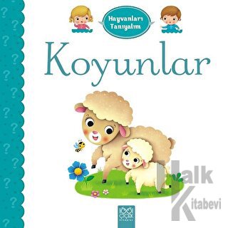 Hayvanları Tanıyalım - Koyunlar