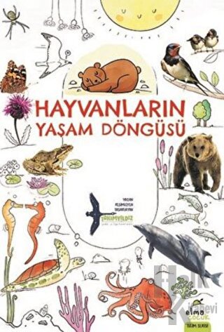 Hayvanların Yaşam Döngüsü