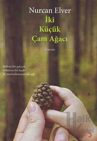 İki Küçük Çam Ağacı