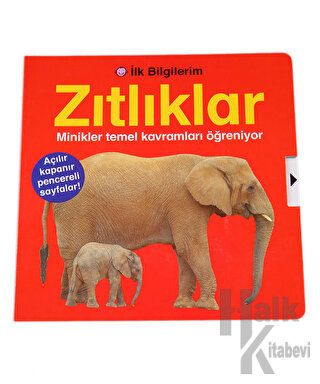 İlk Bilgilerim - Zıtlıklar