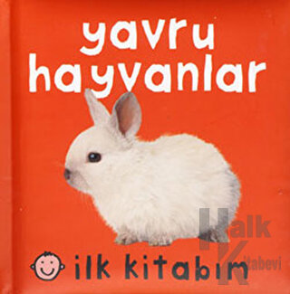 İlk Kitabım - Yavru Hayvanlar (Ciltli)