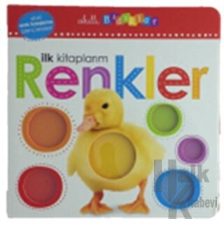 İlk Kitaplarım - Renkler