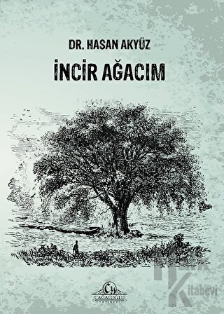 İncir Ağacım