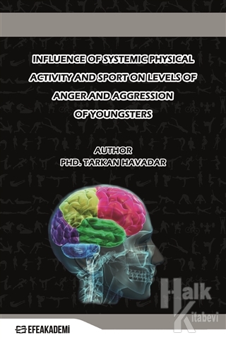 Influence Of Systemic Physical Activity and Sport On Levels Of Anger and Aggression Of Youngsters Who Have Aggression Inclination