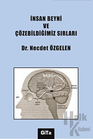 İnsan Beyni ve Çözebildiğimiz Sırları