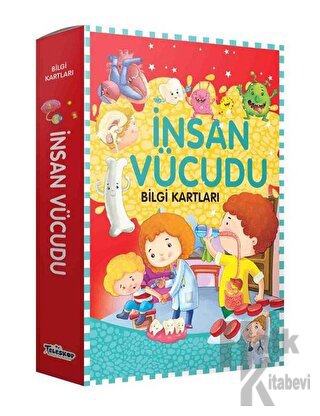 İnsan Vücudu Bilgi Kartları