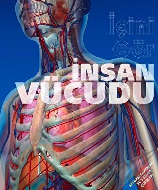 İnsan Vücudu / İçini Gör (Ciltli)