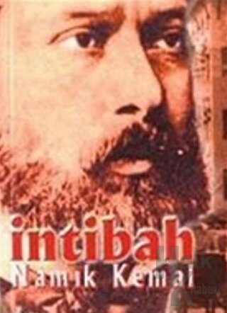 İntibah Yahut Sergüzeşt-i Ali Bey (Uyanış Yahut Ali Bey’in Macerası)