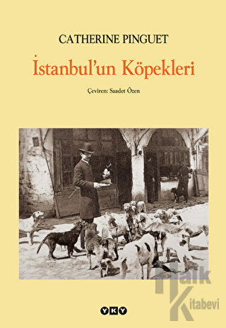 İstanbul’un Köpekleri