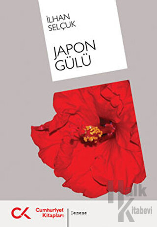 Japon Gülü