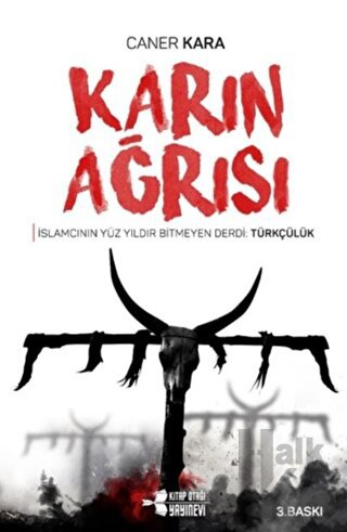 Karın Ağrısı