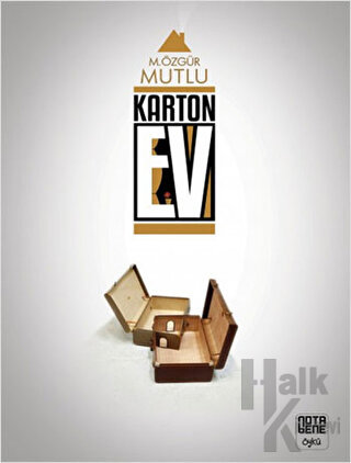 Karton Ev