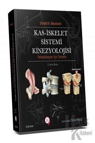 Kas İskelet Sistemi Kinezyolojisi