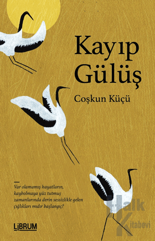 Kayıp Gülüş