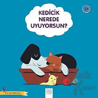 Kedicik Nerede Uyuyorsun? - Güzel Uyu Sağlıklı Büyü