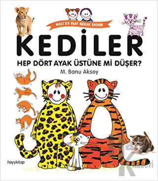 Kediler - Hep Dört Ayak Üstüne mi Düşer?