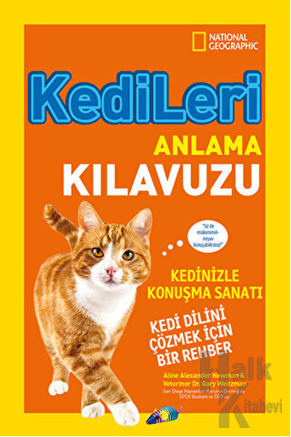 Kedileri Anlama Kılavuzu