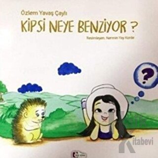 Kipsi Neye Benziyor?