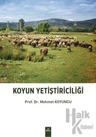 Koyun Yetiştiriciliği